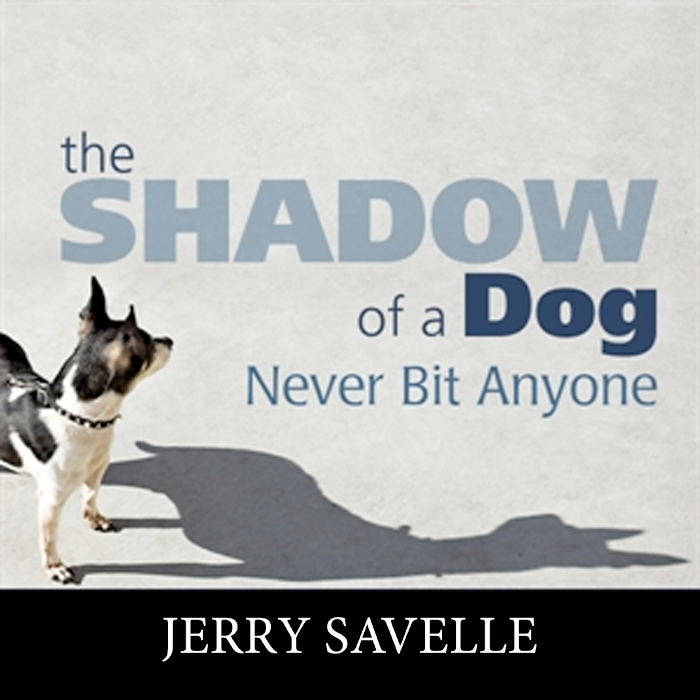 The Shadow of a Dog Never Bit Anyone