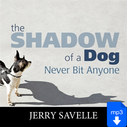 The Shadow of a Dog Never Bit Anyone