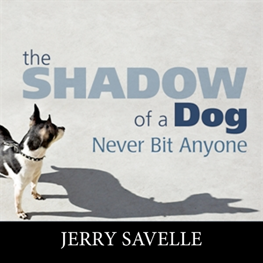 The Shadow of a Dog Never Bit Anyone