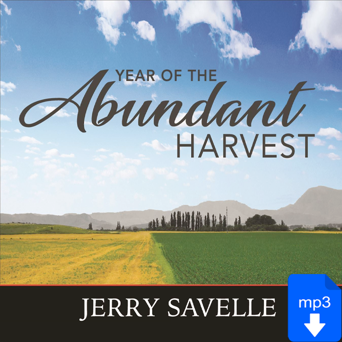 Year of the Abundant Harvest